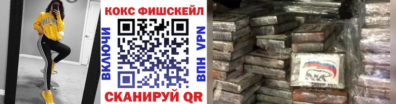 COCAIN Fish Scale  Купить  Краснозаводск 