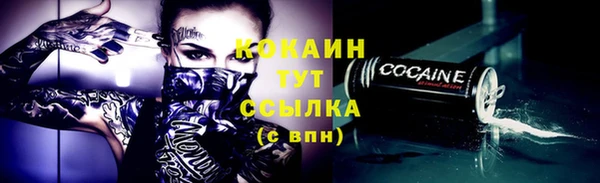 мдпв Кинешма