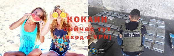PSILOCYBIN Козельск