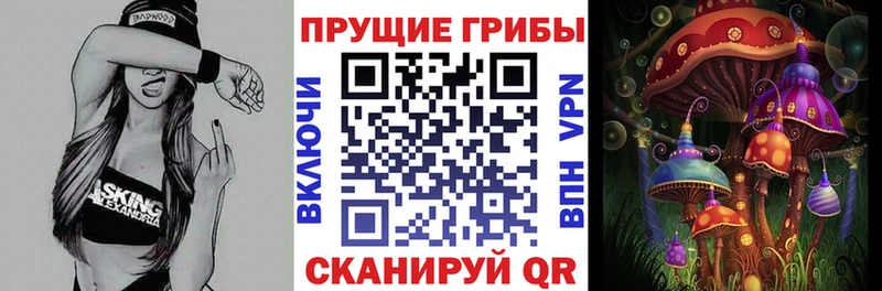 Псилоцибиновые грибы MAGIC MUSHROOMS  Купить где  Краснозаводск 